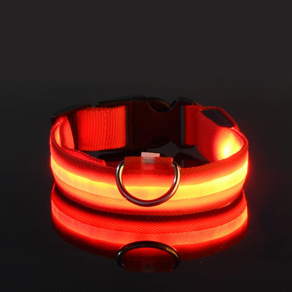 Neo - Led Hund halsband
