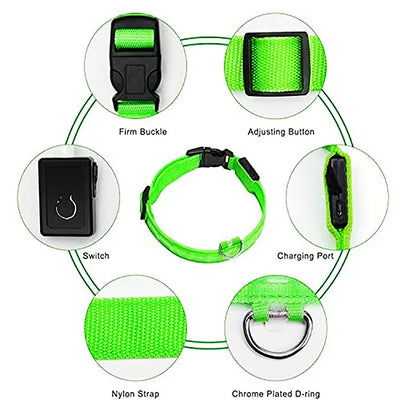 Produktnamn - LED-blinkande hundhalsband