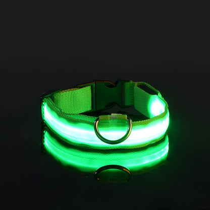 Neo - Led Hund halsband