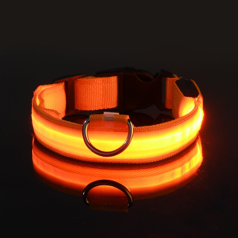 Neo - Led Hund halsband