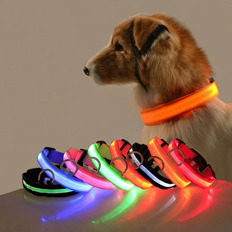 Neo - Led Hund halsband