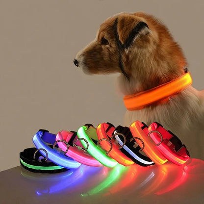 Neo - Led Hund halsband