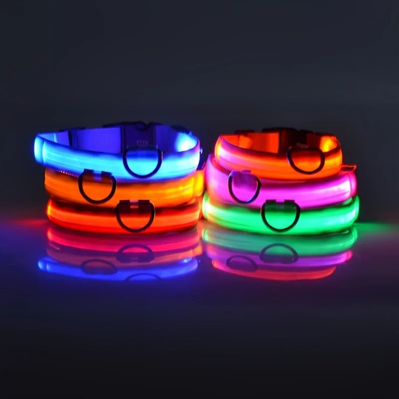 Neo - Led Hund halsband
