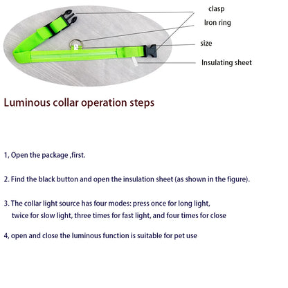 Neo - Led Hund halsband