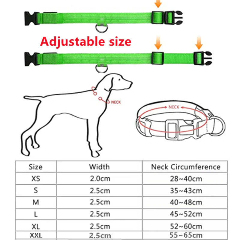 Produktnamn - LED-blinkande hundhalsband