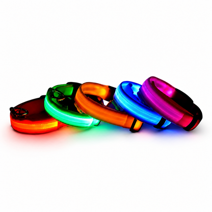 Neo - Led Hund halsband